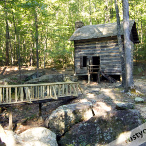 photo of cabin in the woods