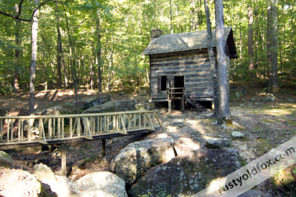 photo of cabin in the woods