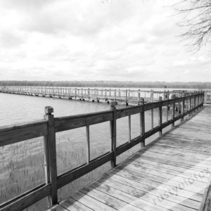 photo of pier