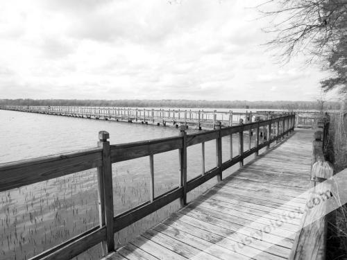 photo of pier